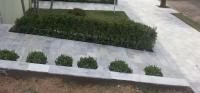  Pedras decorativas 
